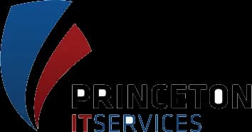 Princeton Data Solutions logo